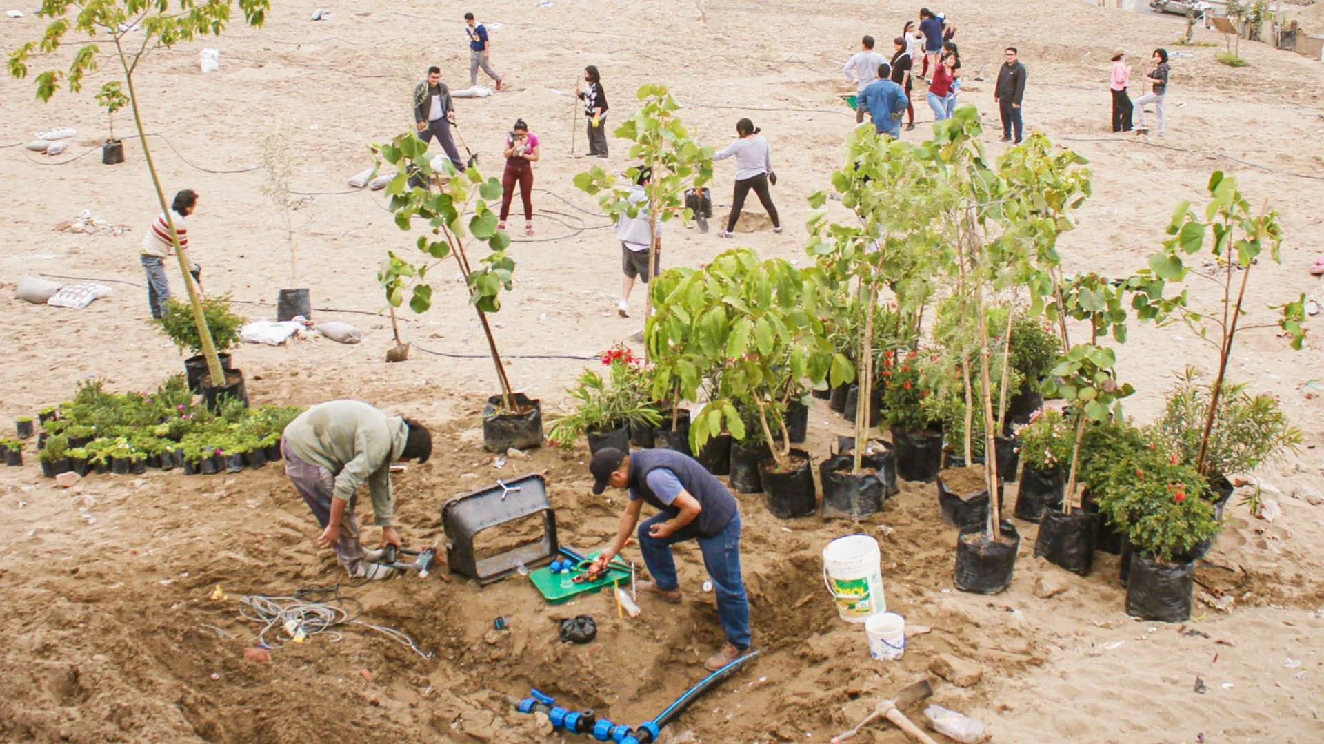 ciudadViva - Ejes estratégicos