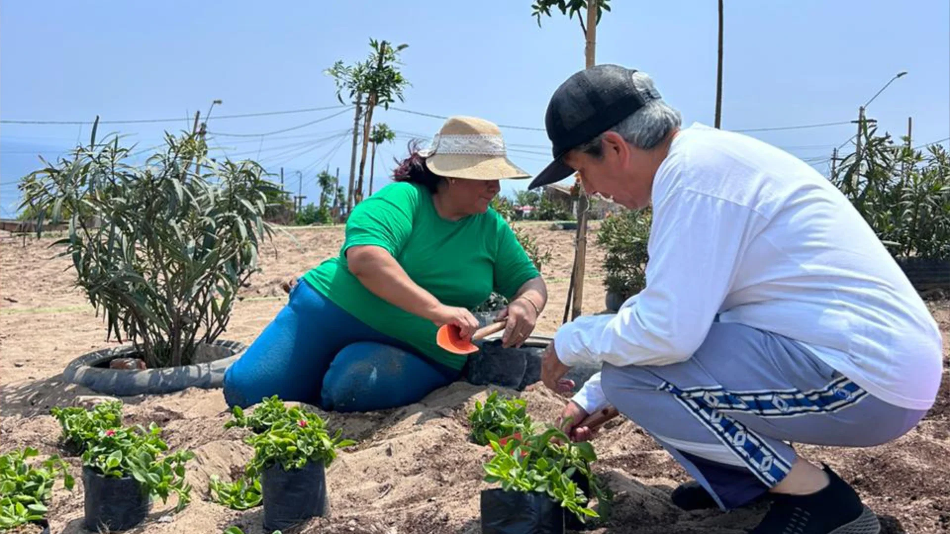 ciudadViva - Ejes estratégicos