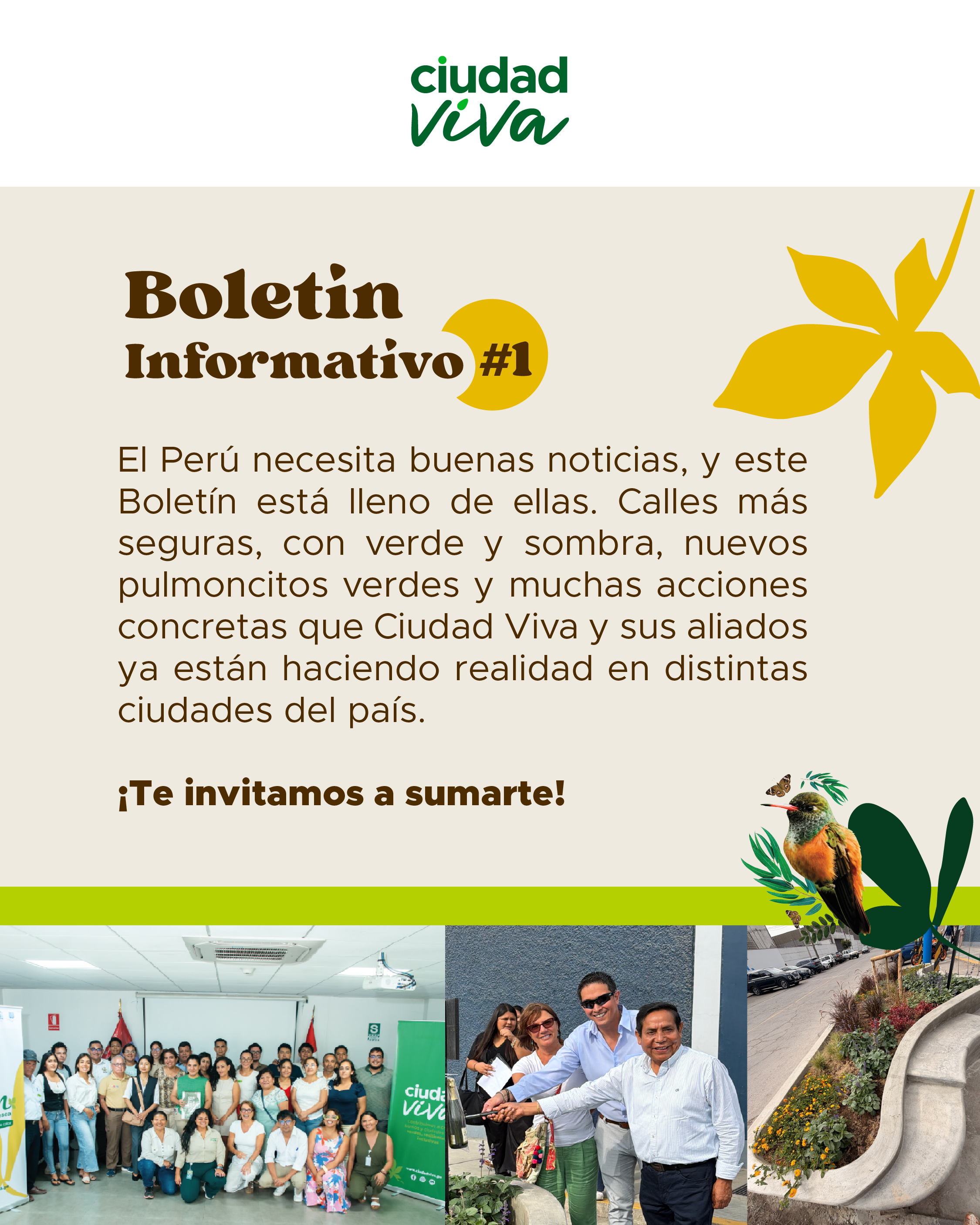 nombre de la publicación