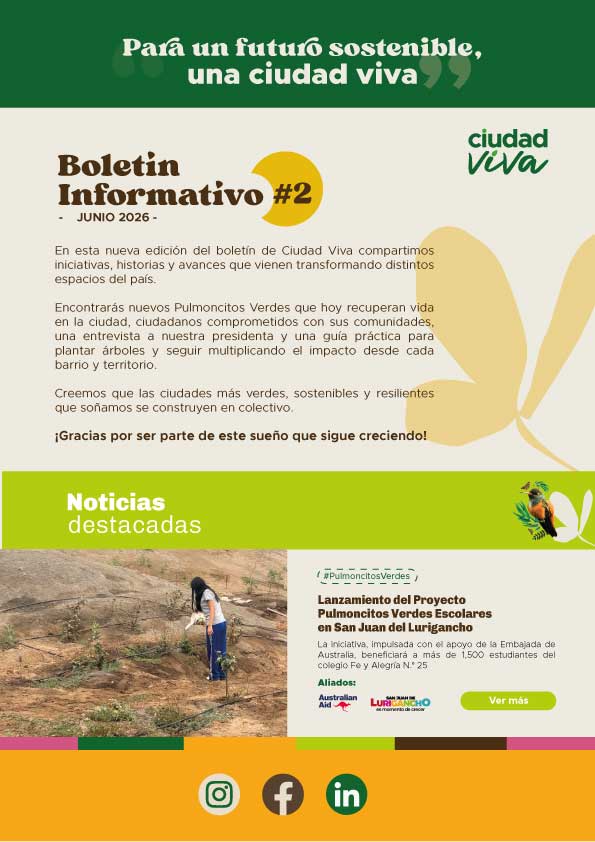 nombre de la publicación