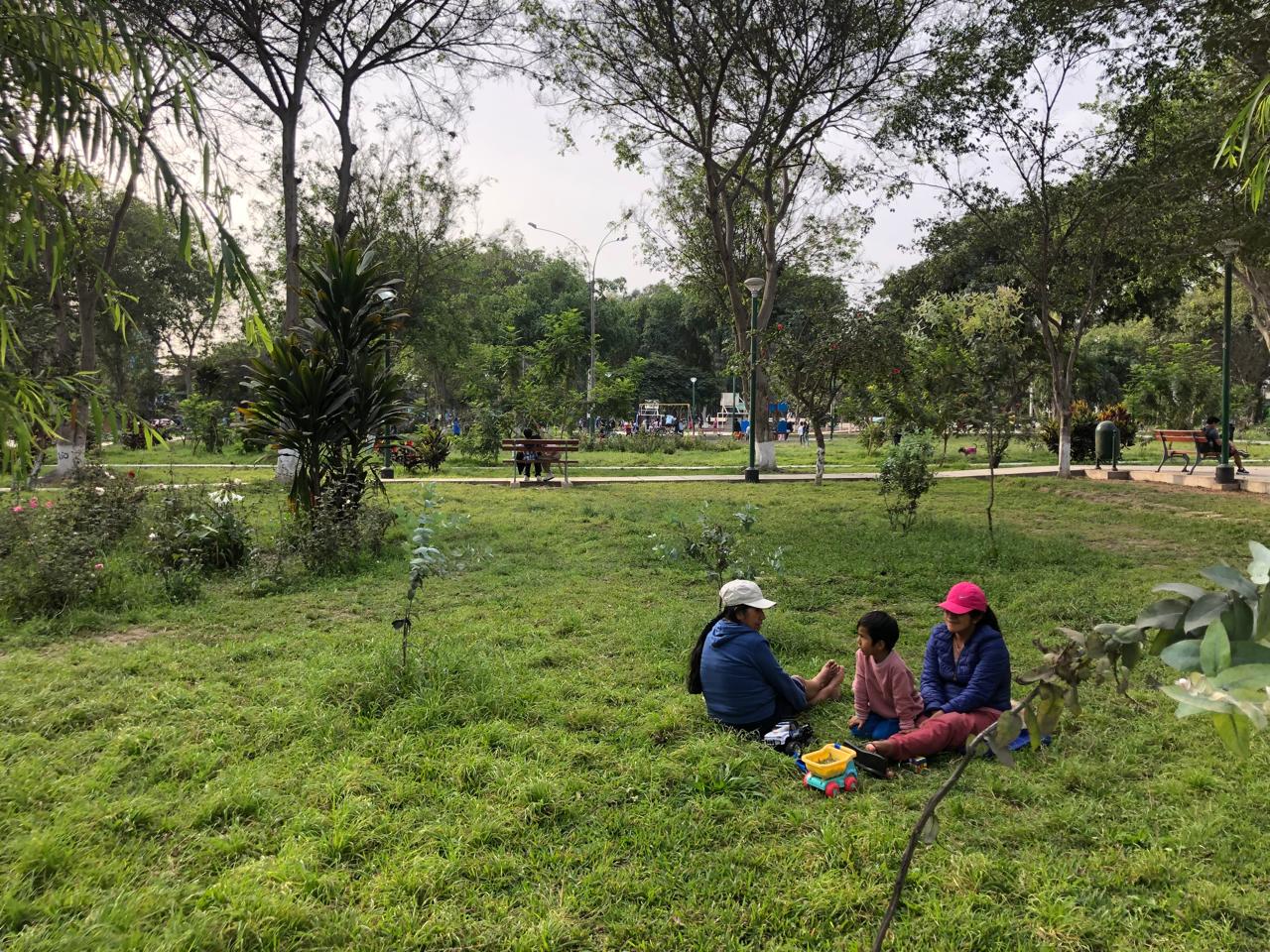 ciudad viva - nombre del proyecto