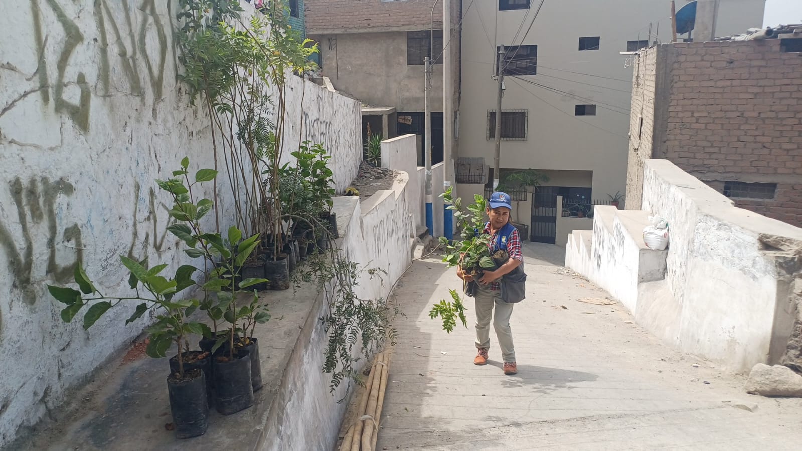 ciudad viva - <br />
<b>Warning</b>:  Undefined property: stdClass::$titleEvent in <b>/home/ciudadvi/public_html/Views/ProjectsServices/detail.php</b> on line <b>137</b><br />
